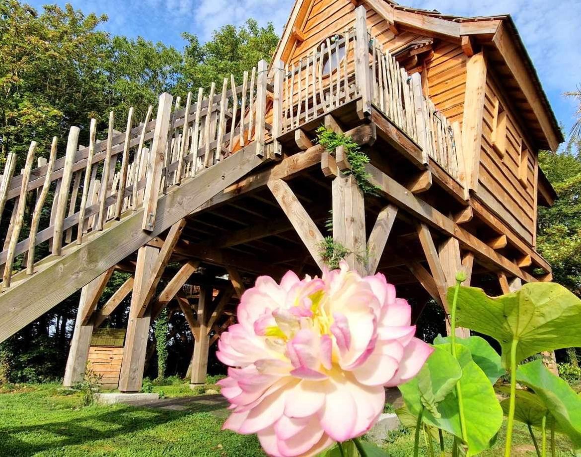 Cabane perchée en bois en Bretagne, entourée de fleurs et verdure luxuriante.