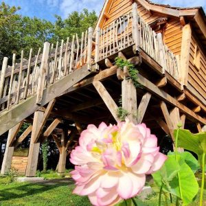 Cabane perchée en bois en Bretagne, entourée de fleurs et verdure luxuriante.