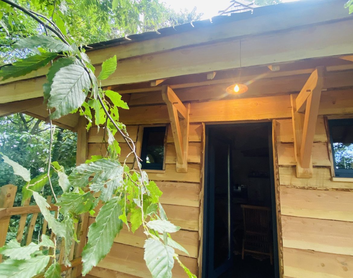 Cabane en bois perchée en Bretagne, entourée de verdure luxuriante.