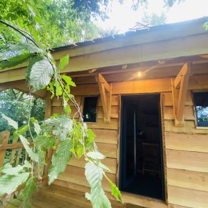 Cabane en bois perchée en Bretagne, entourée de verdure luxuriante.