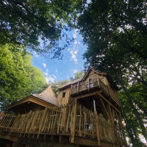 Cabane perchée en bois, entourée darbres, avec un ciel bleu en arrière-plan.