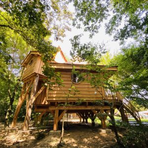 Cabane perchée en bois en Bretagne, entourée darbres verdoyants.