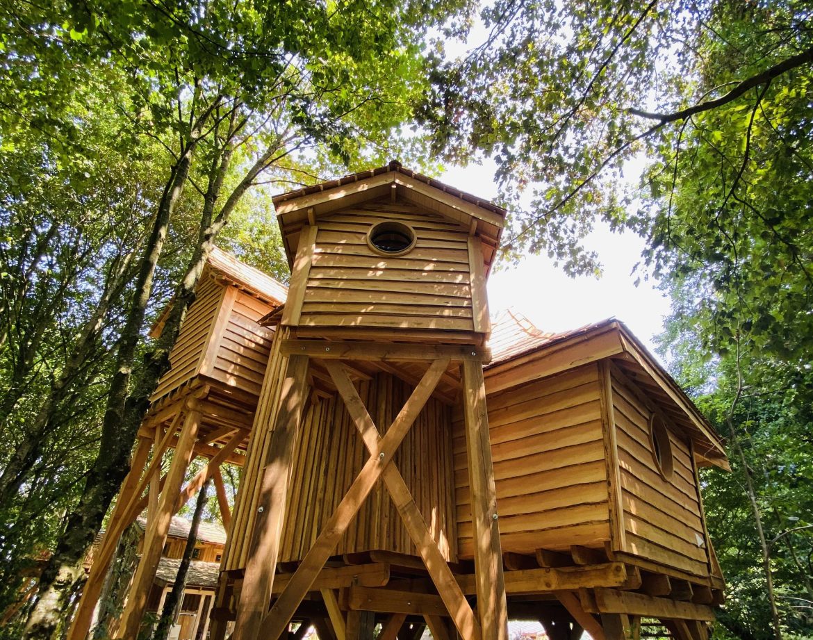 Cabane perchée en bois, nichée dans les arbres en Bretagne, entourée de verdure.