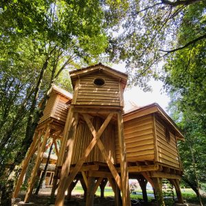 Cabane perchée en bois, nichée dans les arbres en Bretagne, entourée de verdure.
