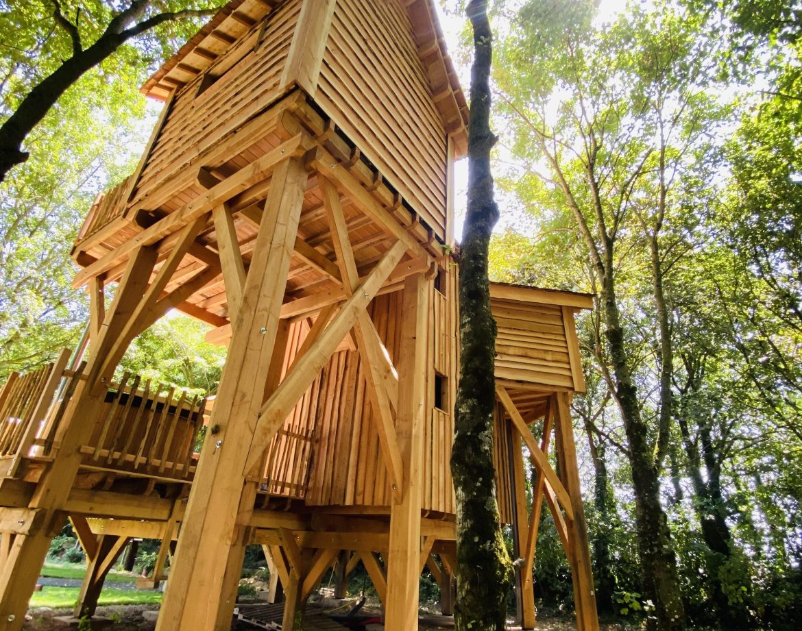 Cabane perchée en bois en Bretagne, entourée darbres verdoyants et lumineuse.