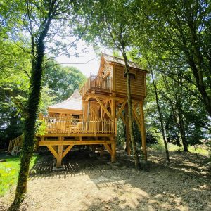 Cabane perchée en bois, entourée darbres, offrant une vue paisible sur la nature.