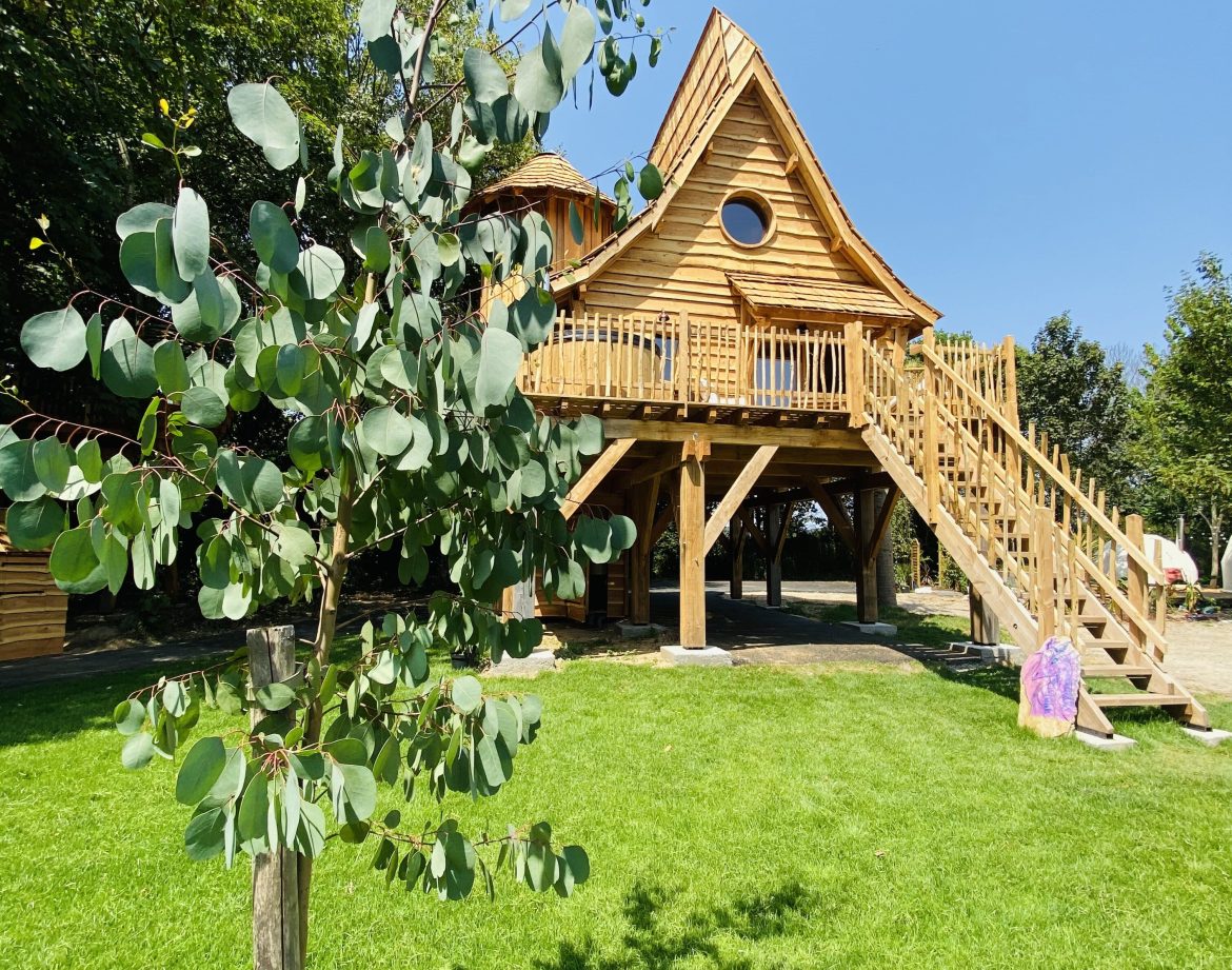 Cabane en bois perchée, entourée de verdure, sous un ciel bleu éclatant.