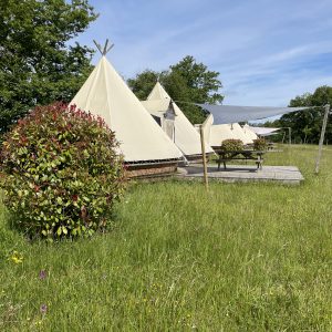 Tentes tipi spacieuses en pleine nature, entourées de verdure et de fleurs.