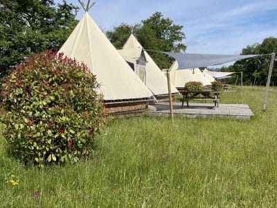 Tentes tipi spacieuses en pleine nature, entourées de verdure et de fleurs.