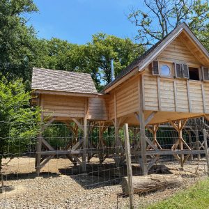 Cabane perchée en bois, entourée de verdure, offrant un séjour insolite en Auvergne-Rhône-Alpes.