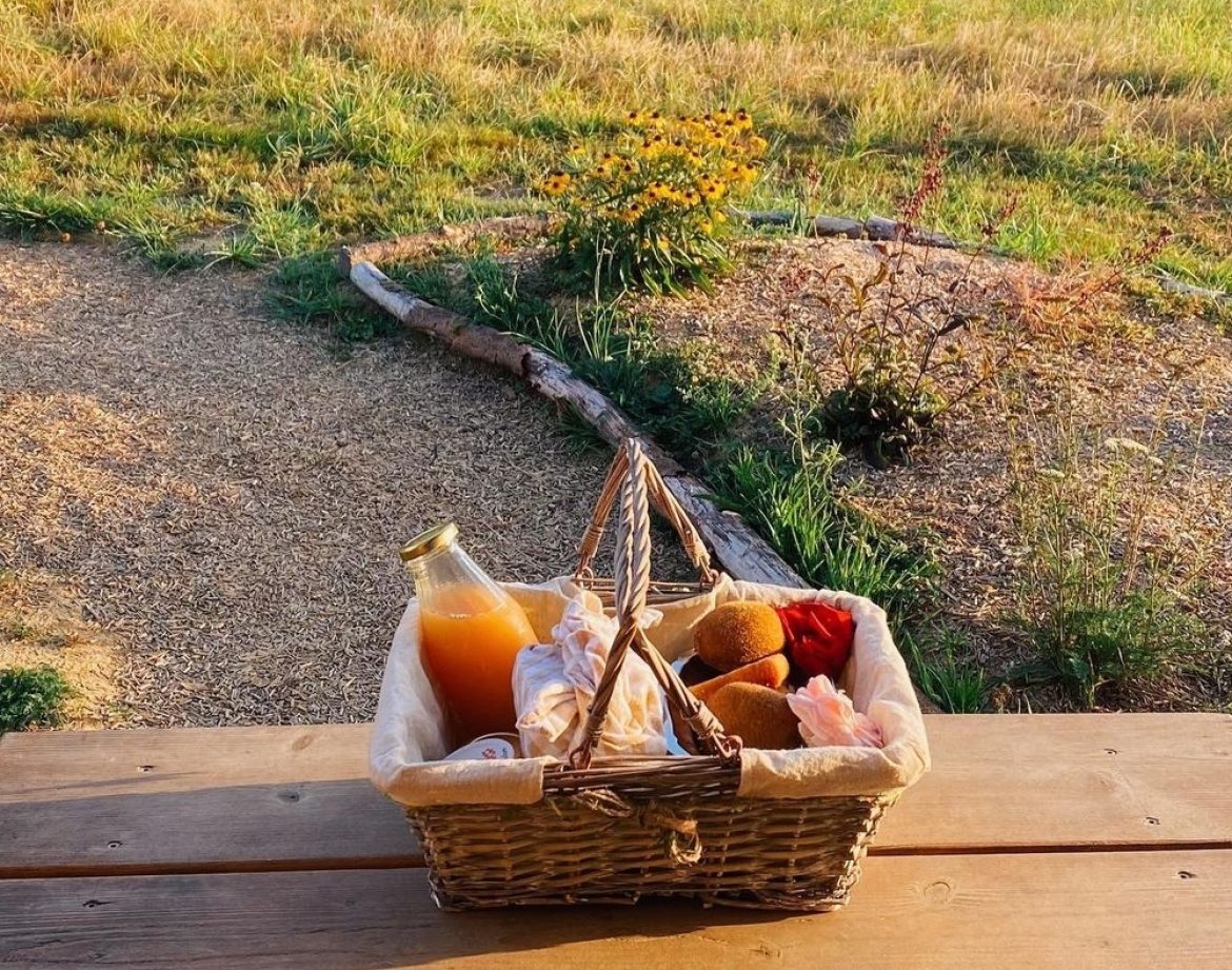 Panier gourmand devant un hébergement insolite en Aquitaine, entouré de verdure.