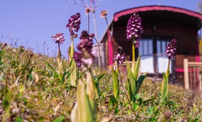 Roulottes – Domaine d’Escapa