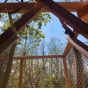 Cabane dans les arbres avec vue sur la canopée et ciel bleu. Évasion nature garantie.