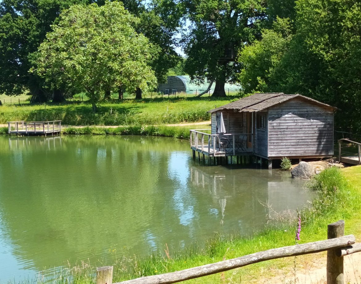 Cabane sur pilotis au bord dun étang, entourée de verdure paisible.
