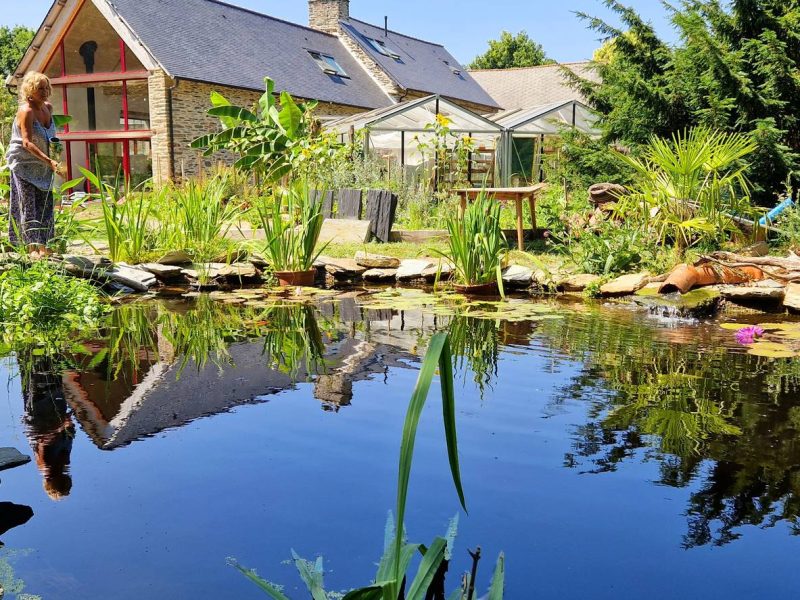 Charming gîte avec jardin luxuriant et étang paisible, idéal pour la détente.