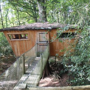 Cabane dans les arbres en Pays de la Loire, avec un toit en herbe et passerelle suspendue.