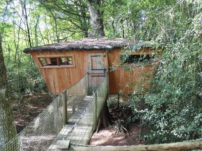 Cabane dans les arbres en Pays de la Loire, avec un toit en herbe et passerelle suspendue.