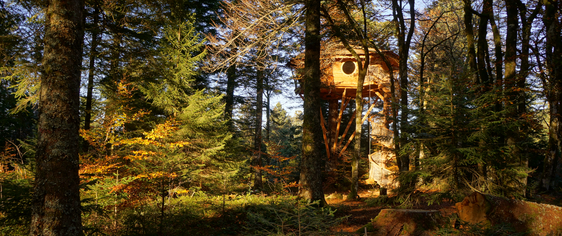 Cabane en forêt en automne
