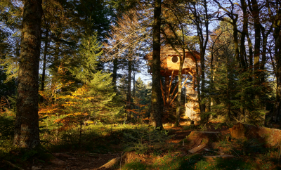 Cabane en forêt en automne