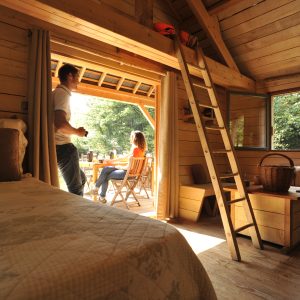 Cabane en bois avec terrasse, lumière naturelle et ambiance chaleureuse.