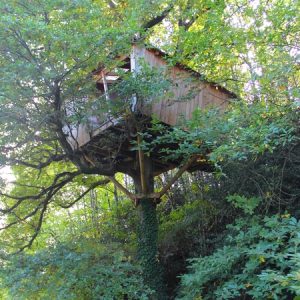 Cabane perchée dans un arbre, entourée de verdure luxuriante à Pays de la Loire.