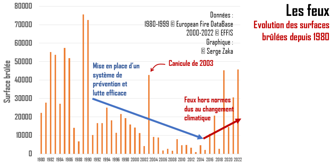 Evolution des surfaces brulees depuis 1980