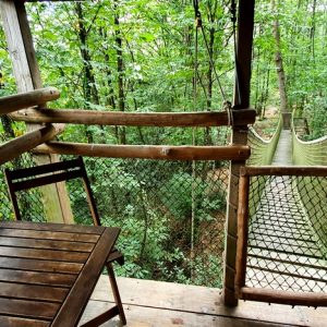 Cabane perchée dans les arbres, avec une vue sur un pont suspendu verdoyant.