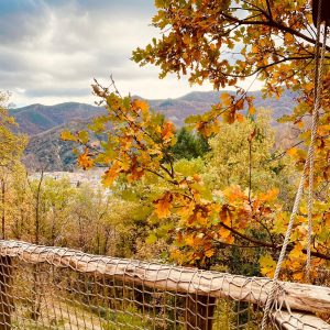Cabane perchée en bois avec vue sur les montagnes et feuillage automnal.