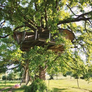 Cabane dans un arbre au Pays de la Loire, perchée dans un grand chêne verdoyant.