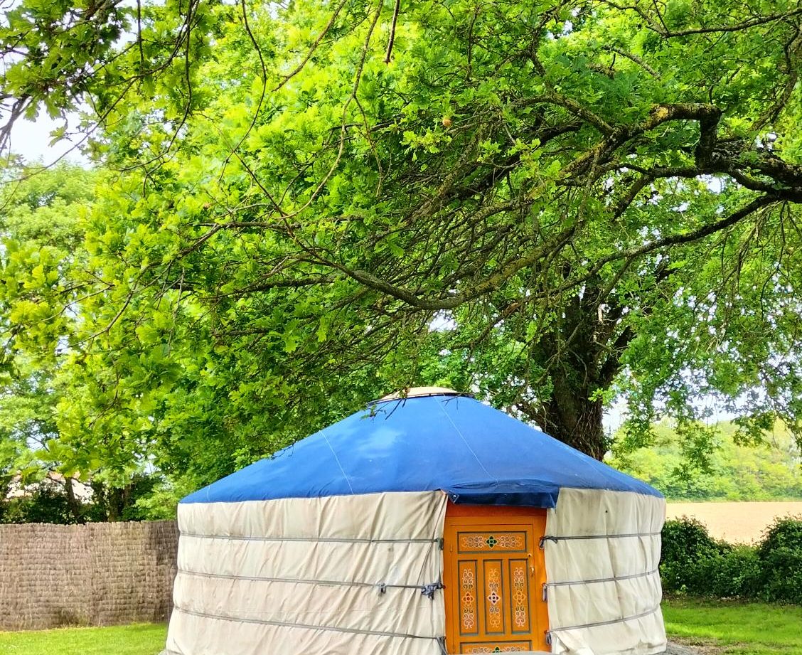 Yourte spacieuse sous un grand arbre, avec une porte en bois et un espace verdoyant.