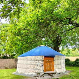 Yourte spacieuse sous un grand arbre, avec une porte en bois et un espace verdoyant.