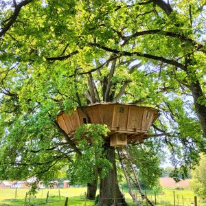 Cabane dans les arbres à Pays de la Loire, perchée au cœur dun feuillage verdoyant.