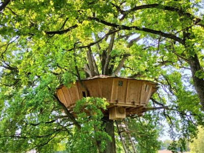 Cabane dans les arbres à Pays de la Loire, perchée au cœur dun feuillage verdoyant.