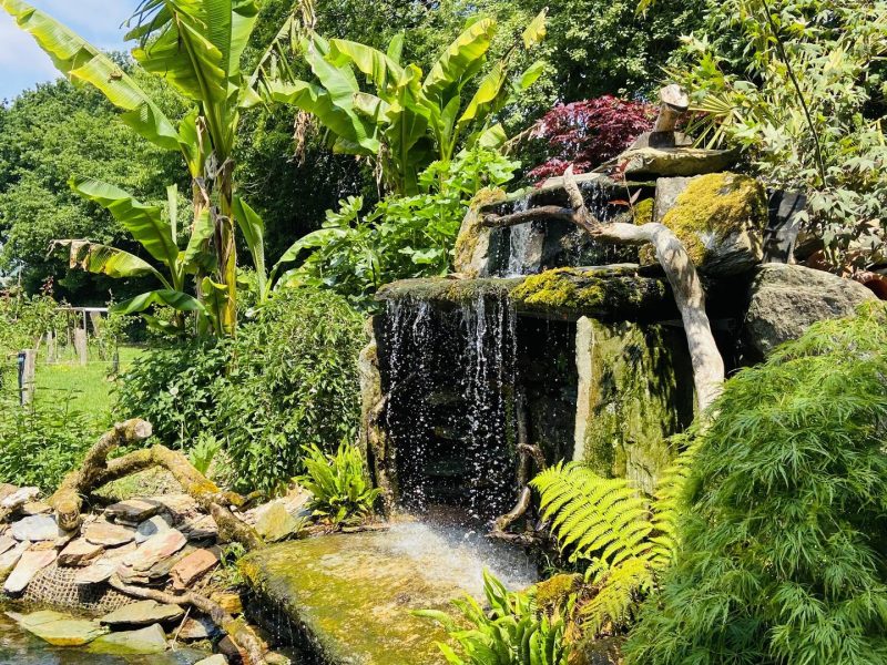 Hébergement en pleine nature avec une cascade entourée de verdure luxuriante.