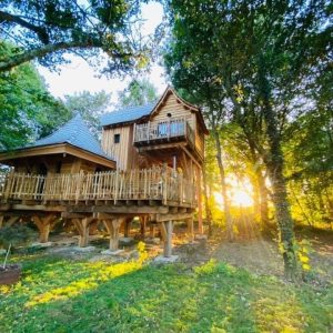 Cabane perchée en bois en Bretagne, entourée darbres et baignée par la lumière du soleil.