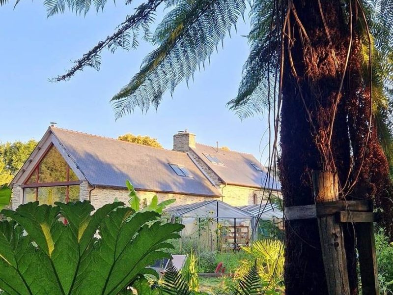 Charmante maison de campagne entourée de verdure luxuriante et de fougères.