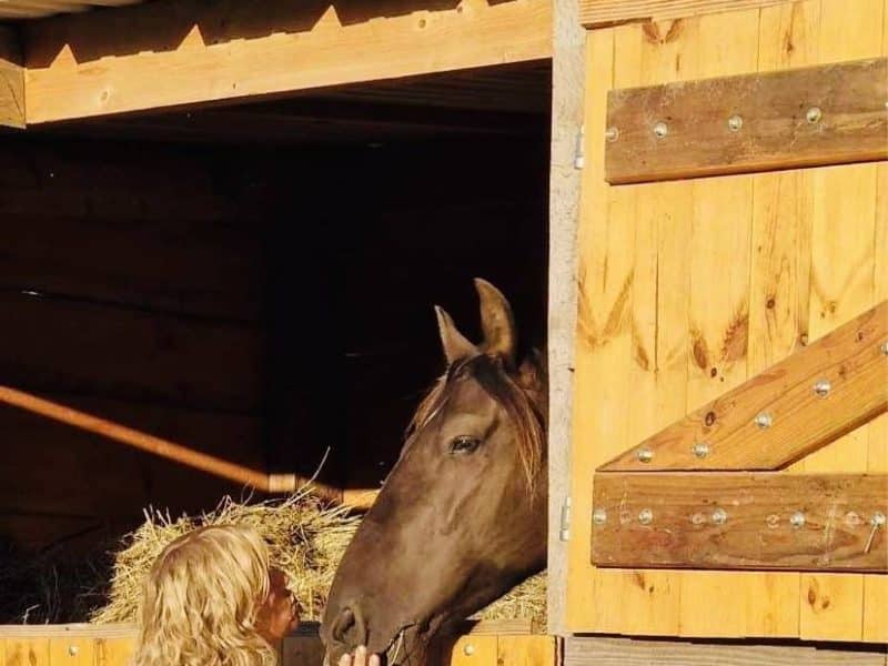 Gîte équestre avec une femme caressant un cheval dans une écurie en bois.