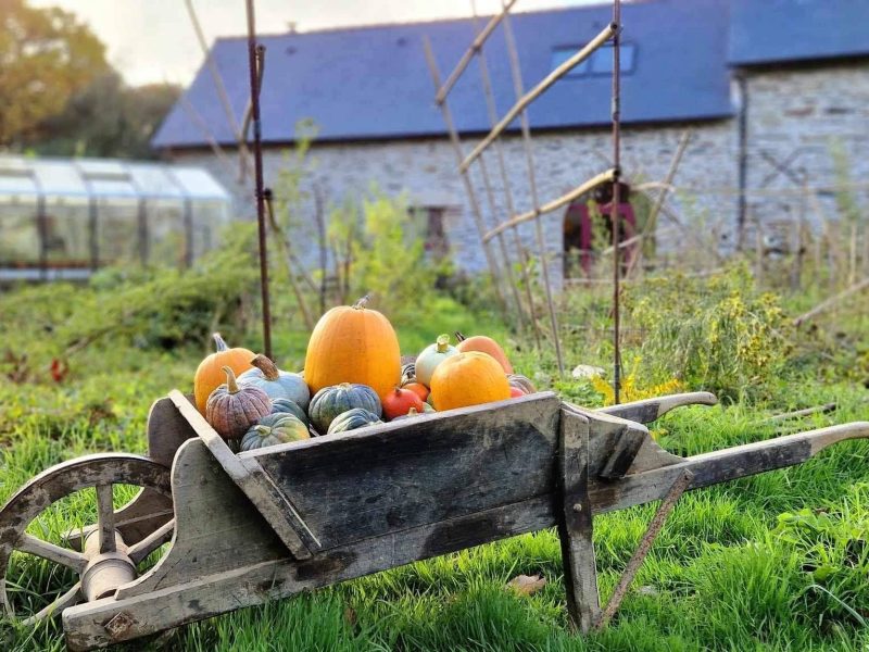 Gîte rural avec une brouette de légumes colorés dans un jardin verdoyant.