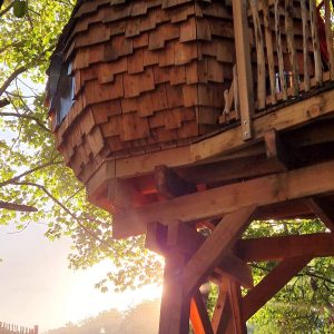 Cabane perchée en bois dans les arbres, entourée de verdure et de lumière douce.