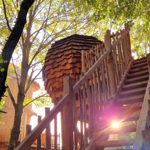 Cabane perchée en Bretagne, accessible par un escalier en bois, baignée de lumière.