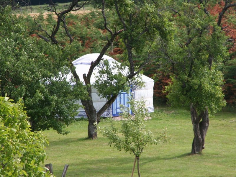 Yourte spacieuse entourée darbres verdoyants, idéale pour un séjour nature.