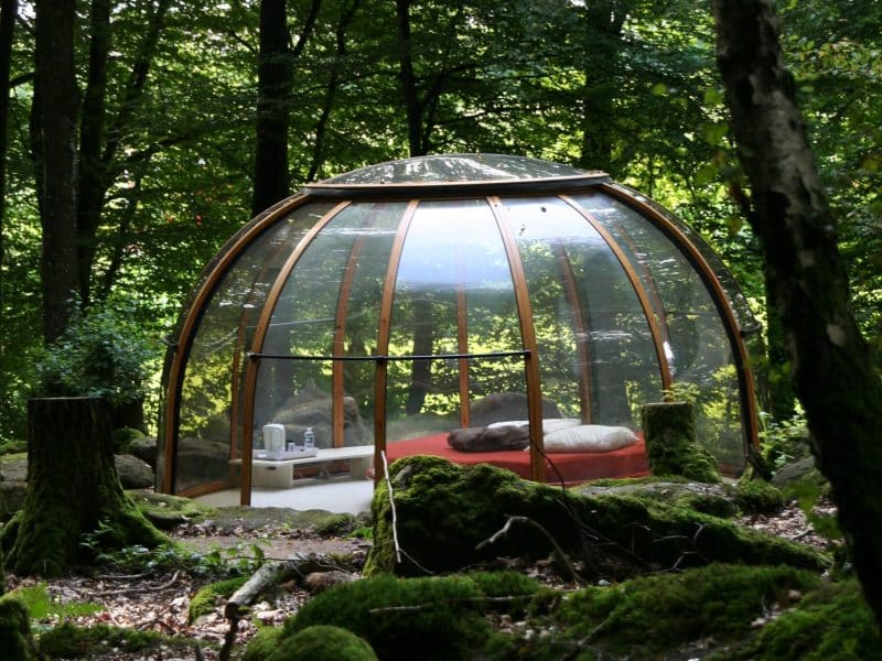 Hébergement insolite : bulle en verre au cœur dune forêt verdoyante.