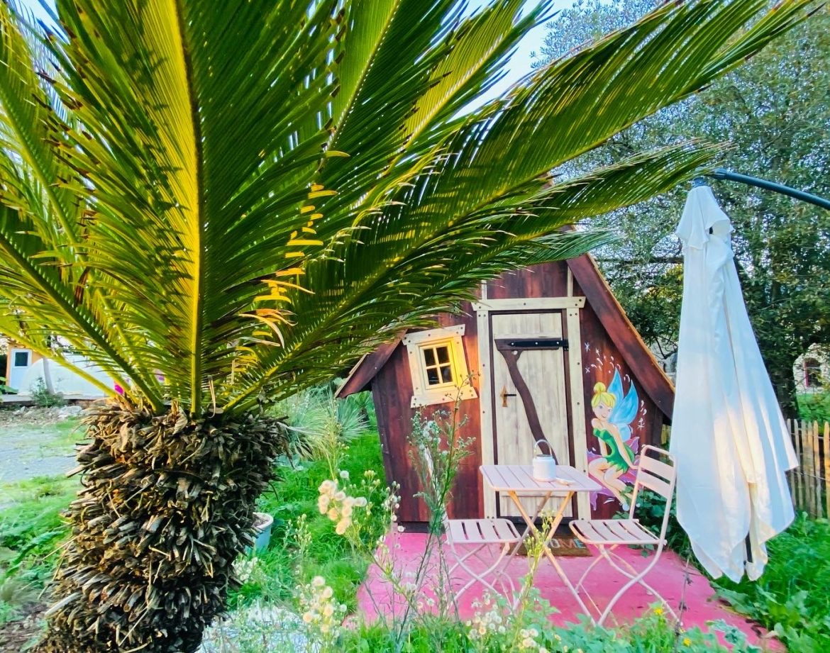 Cabane insolite en Bretagne, entourée de verdure et palmier, avec terrasse accueillante.