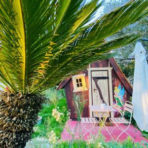 Cabane insolite en Bretagne, entourée de verdure et palmier, avec terrasse accueillante.
