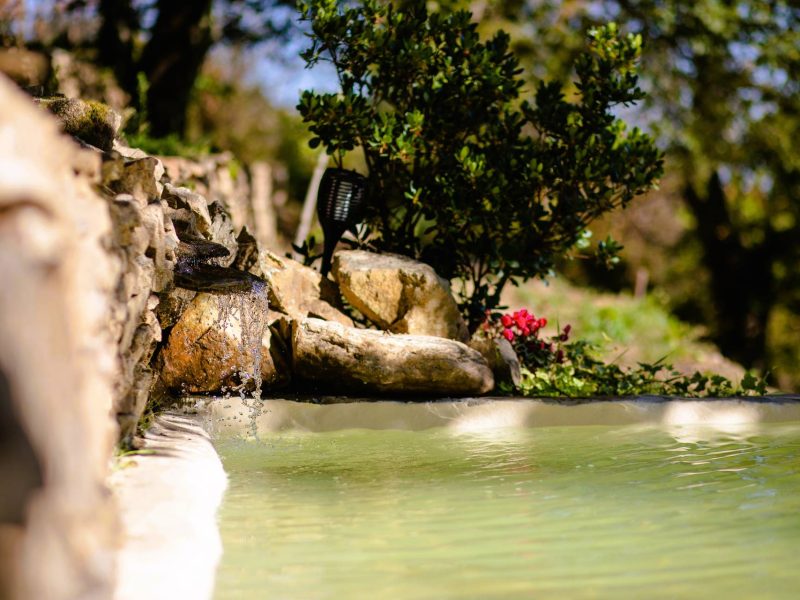 Hébergement en pleine nature avec piscine naturelle et verdure environnante.