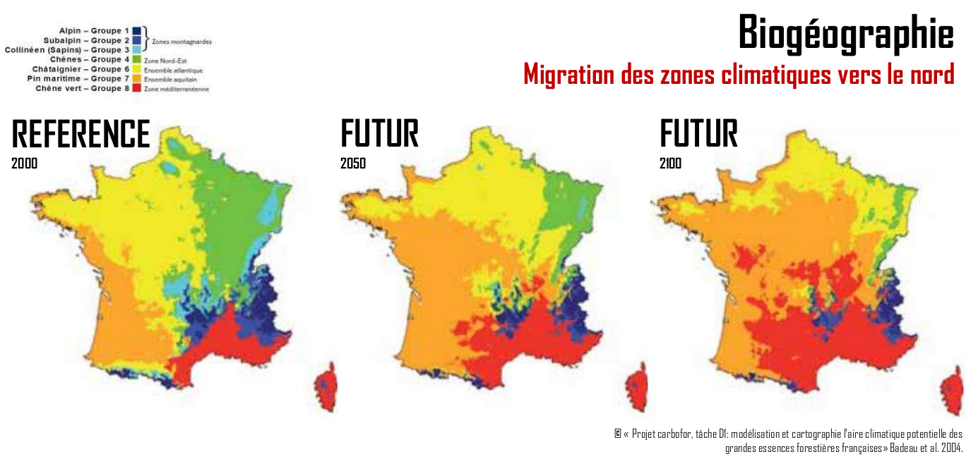 Migration des zones climatiques vers le nord