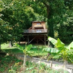 Cabane perchée en Aquitaine, entourée de verdure et de bananiers.