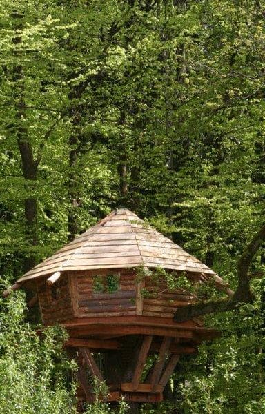 Cabane perchée en bois, entourée dune verdure luxuriante et apaisante.