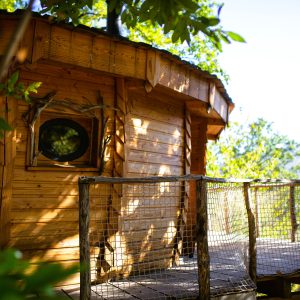 Cabane en bois perchée, avec une vue dégagée sur la nature environnante.