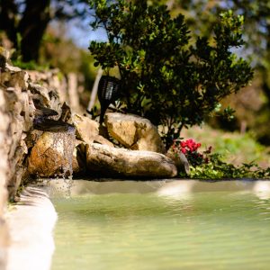 Hébergement insolite en Auvergne-Rhône-Alpes avec piscine naturelle et verdure environnante.
